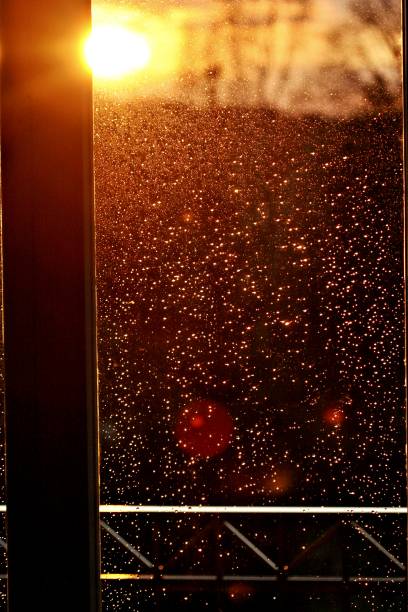 istock Early morning the sun is rising 1306718627