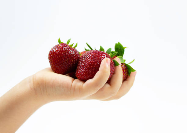 istock Healthy strawberries on a child's hand 1306719794