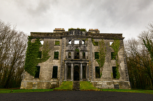 Moore Hall, the west of Ireland home of a prominent family of writers and politicians, was burned during the Irish Civil War of 1921-23.