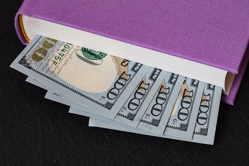dollar banknotes in violet book