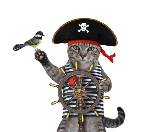 istock Cat gray pirate at helm of ship 1306733196