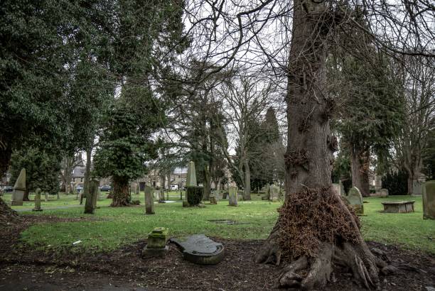 istock Old Cemetery & Tombstones. 1306737890
