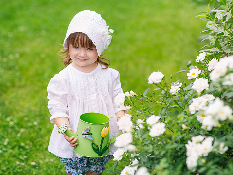 on a summer day, a little girl takes care of flowers in the garden, watering roses in a flower bed
