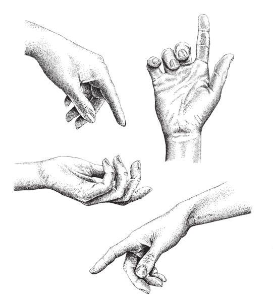 Female Pen And Ink Hands Vector illustration of five pointillism pen and ink female hands on a white background. pen and ink stock illustrations