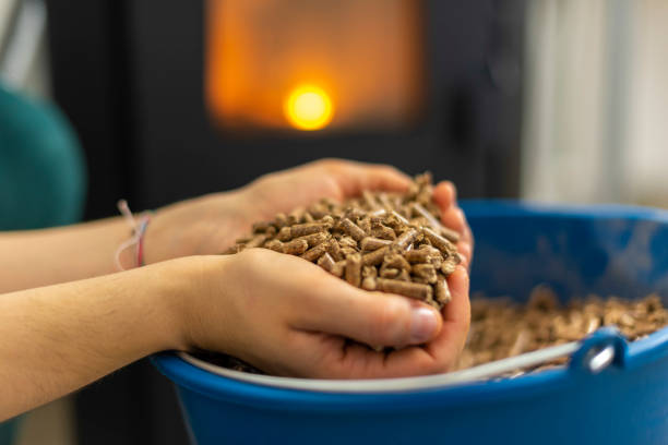 istock Grains of pellet. 1306742374