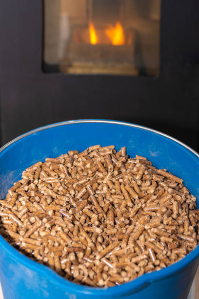 istock Grains of pellet. 1306742378