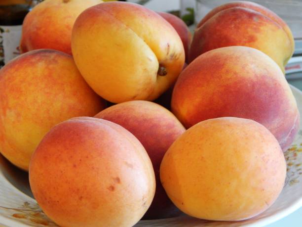 istock Peaches and apricots on the plate 1306743864