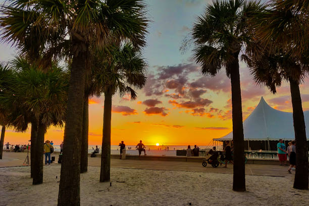 istock Sunset at Clearwater Beach in Florida 1306748064