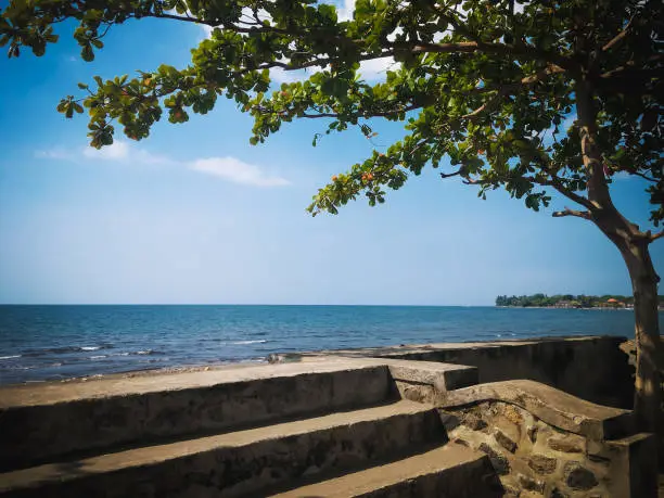 Natural Tropical Beach Shade Tree View At Beach Barrier And The Stairs On A Sunny Day At The Village, North Bali, Indonesia