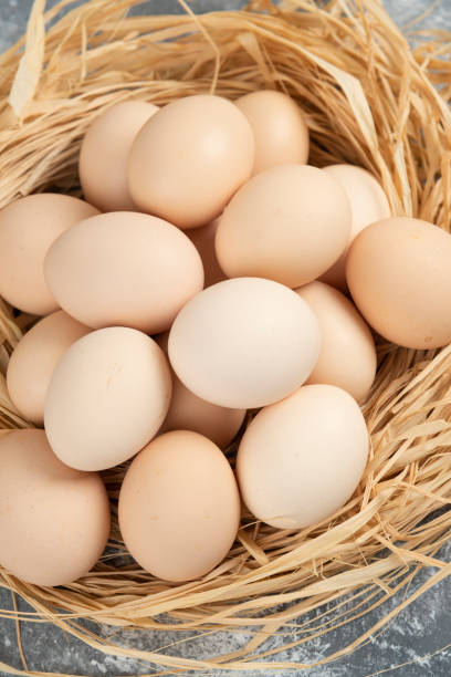 istock Bunch of raw eggs with bird nest on marble surface 1306775667