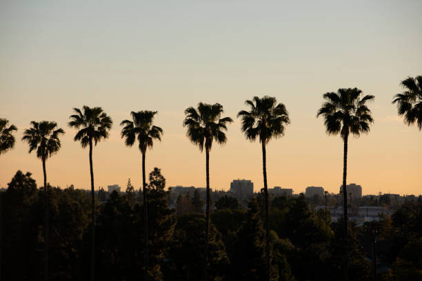 Anaheim, California