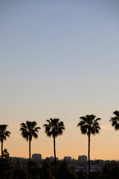 istock Anaheim, California 1306780757