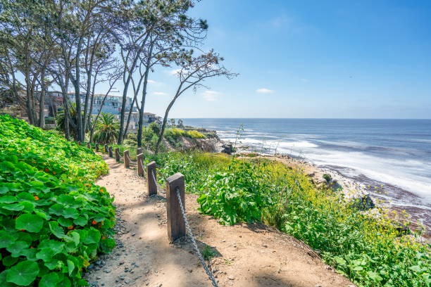 istock La Jolla Walking Trail By the California Ocean 1306781401
