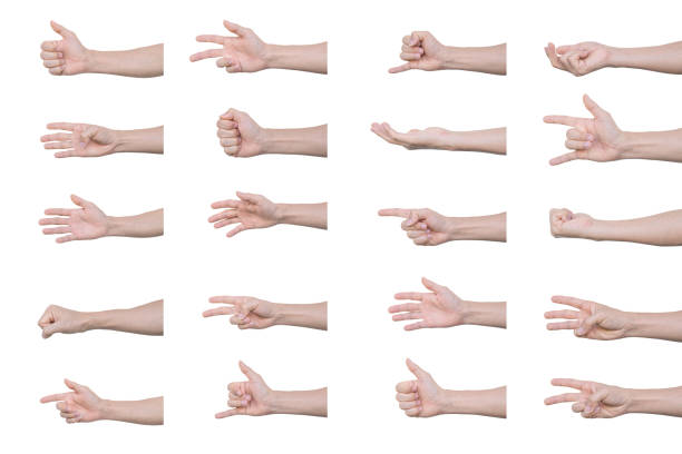 istock Set of man hands Isolated on white background with clipping path. 1306787439