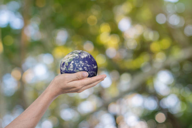 istock Globe, earth in human hands over green nature background. Idea for save the world. 1306788242