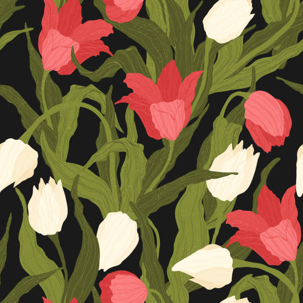 istock Seamless pattern of red and white tulip flowers on black background. Vector illustration. Best for wrapping, textile or print design. Symbol of springtime. 1306788407