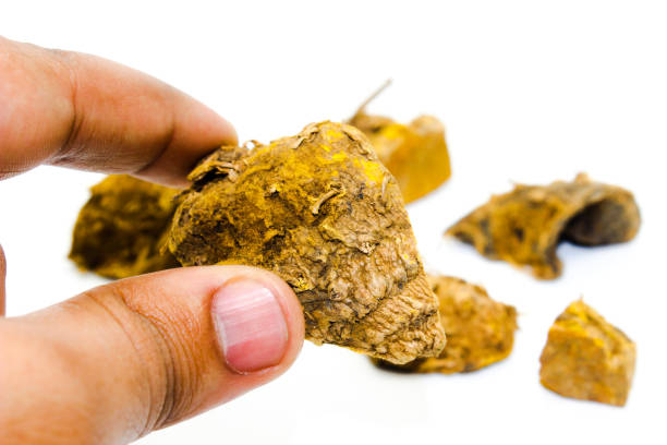 istock dried turmeric isolated on the white background 1306793336