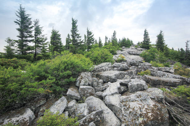 istock Dolly Sods National Wilderness: Bear Rocks 1306794470