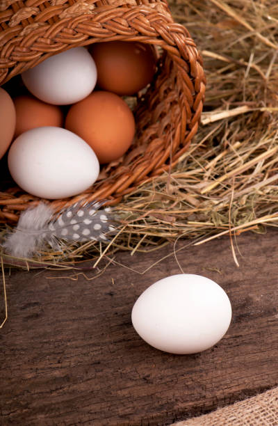istock Chicken fnd quail eggsin basket on wooden background 1306800175