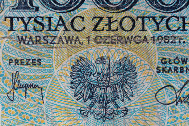 istock 1000 Polish zloty 1306802205