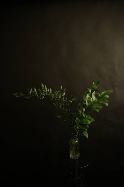 istock Abstract green background, beautiful leaves close-up on dark background. Flat lay, top view, copy space 1306802402