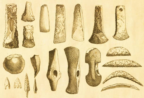 illustrazioni stock, clip art, cartoni animati e icone di tendenza di strumenti dell'età della pietra. asce preistoriche, coltelli ed errori | illustrazioni storiche antiche - prehistoric antiquity