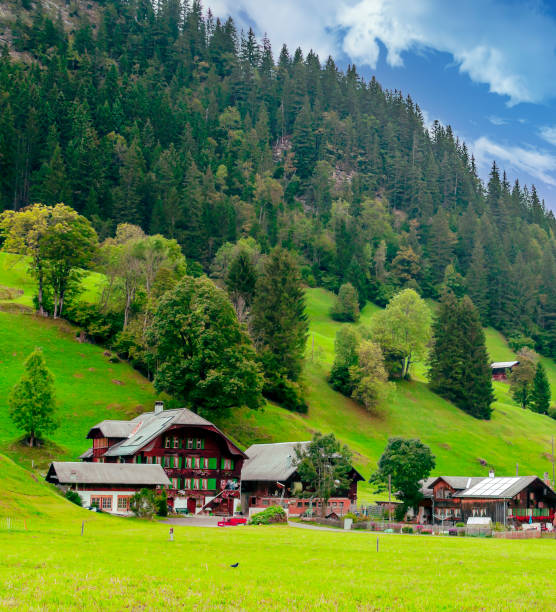 casas en los prados - village switzerland landscape swiss culture fotografías e imágenes de stock