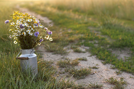 bouquet of wild flowers in a can by a rural road in a field at sunset
