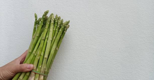 istock Lots of asparagus in hand held on white wall background 1306819227