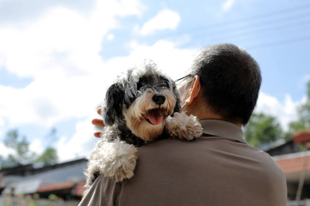 Pet dog bonding with senior man owner.