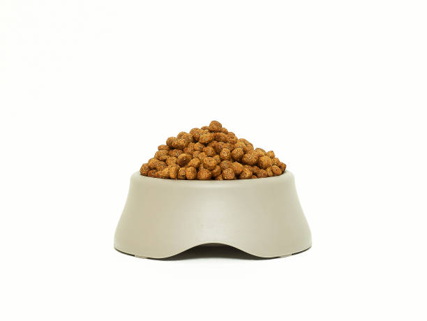 Dog food in grey bowl isolated on white stock photo