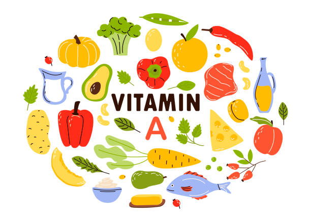 коллекция источников витамина а. мультфильм плоский вектор иллюстрации изолированы на белом фоне. - vitamin a stock illustrations