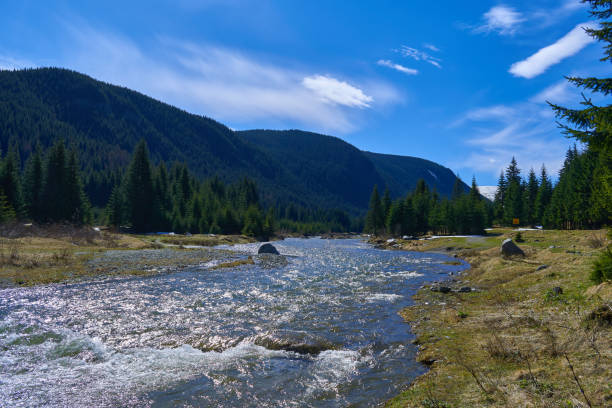 istock mountain river in the mountains 1306828824