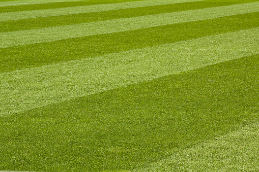 manicured lawn on a football field