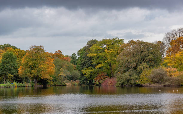istock Lake landscape surrounded by trees Den Haag, Het Zuiderpark, Netherlands. 1306831916
