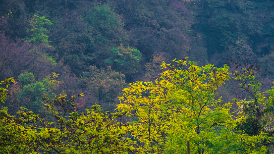 autumnal landscape along the Adda riverbanks