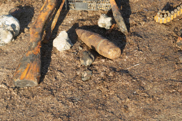 istock World war 2 weapons and ammunition found at sea. Old rusty shotgun and ammunition, a mine. Relics from the great war 1306835491