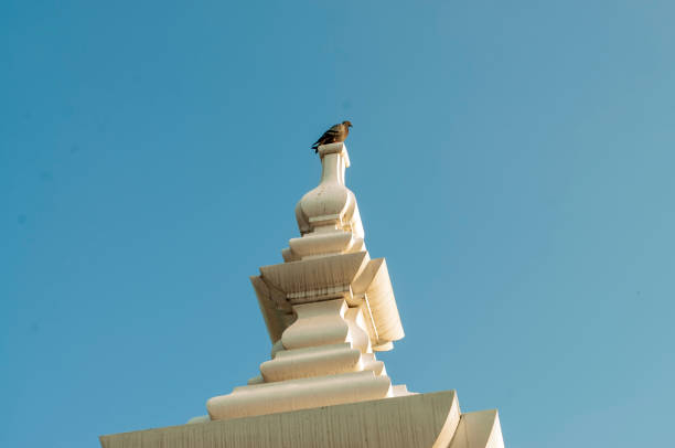 istock A bird perched on top of a cement pole. 1306836685