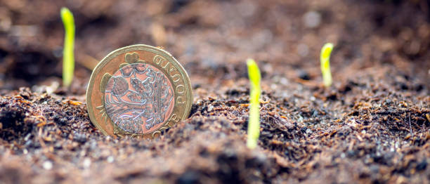 istock Make your money grow 1306839772