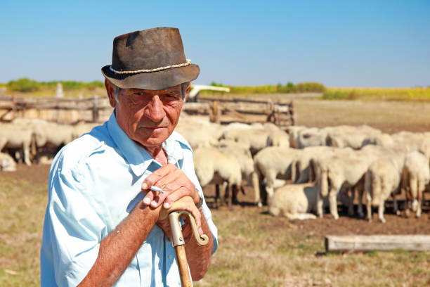 istock Portrait of a senior shepherd 1306839788