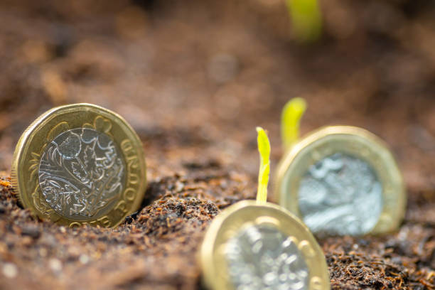 istock Make your money grow 1306839804