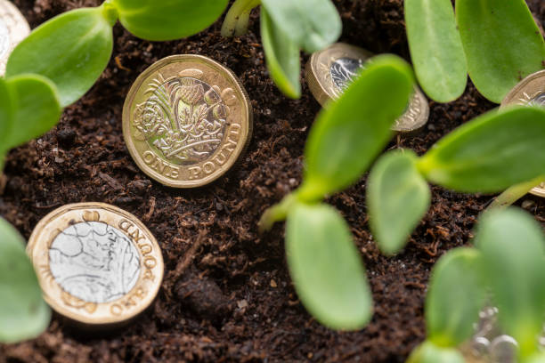 istock Make your money grow 1306839834