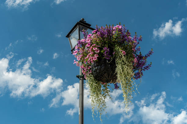 istock Beautiful flower arrangement hanging from a lamp post 1306839850