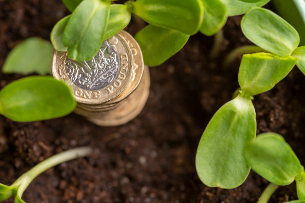 istock Make your money grow 1306839872