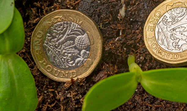 istock Make your money grow 1306839966