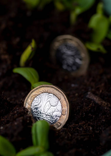istock Make your money grow 1306840050