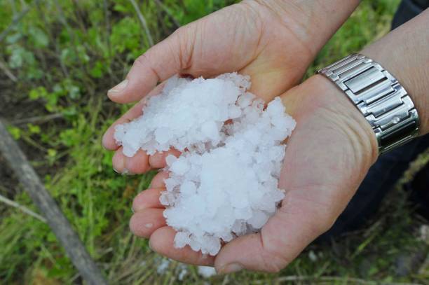 istock big hailstones after a hailstorm 1306842053