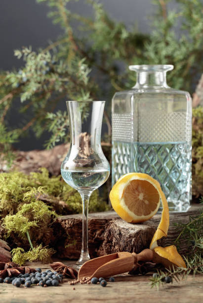 istock Gin in a small glass and lemon. 1306844647