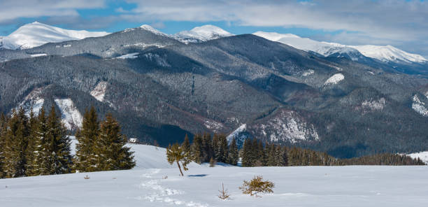 istock Winter snowy Carpathian mountains, Ukraine 1306844700