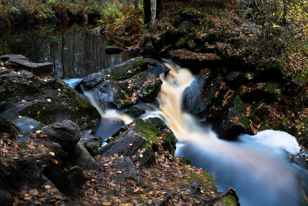 istock Amazing mountain waterfall landscape. Autumn forest and waterfall background. 1306845763